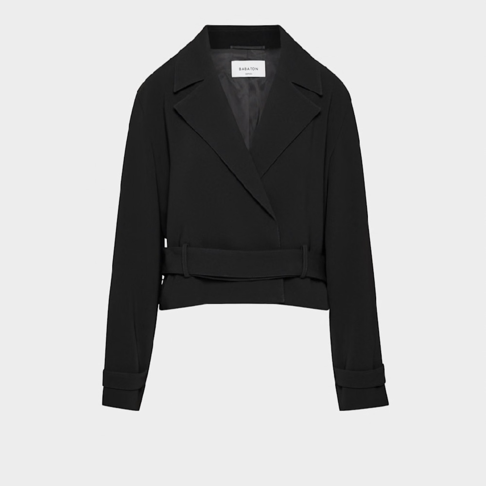 Aritzia Babaton Black Belted Blazer